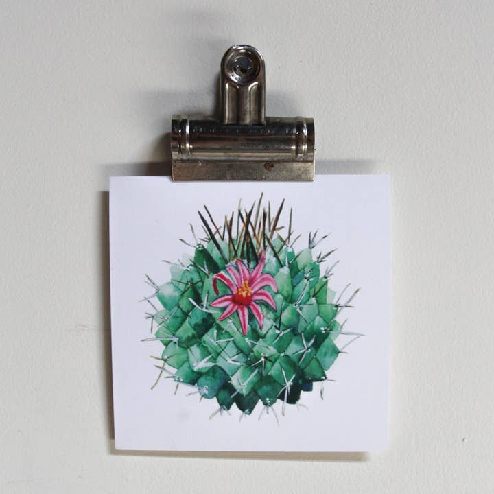 Pink Mammillaria Cactus Watercolor Print for wholesale by Rebecca Eichten Art + Design
