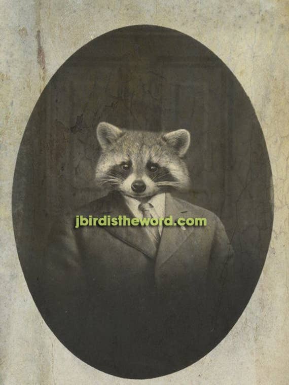 Racoon Print, Trash Panda, Woodland Animal Nature for wholesale by The Wild Oddisorium