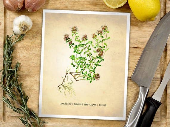 The National Anthem - Wholesale Art Print - 5” x 7” Thyme Herb Art Print1