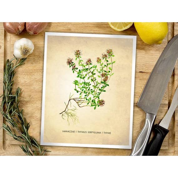 The National Anthem - Wholesale Art Print - 5” x 7” Thyme Herb Art Print1