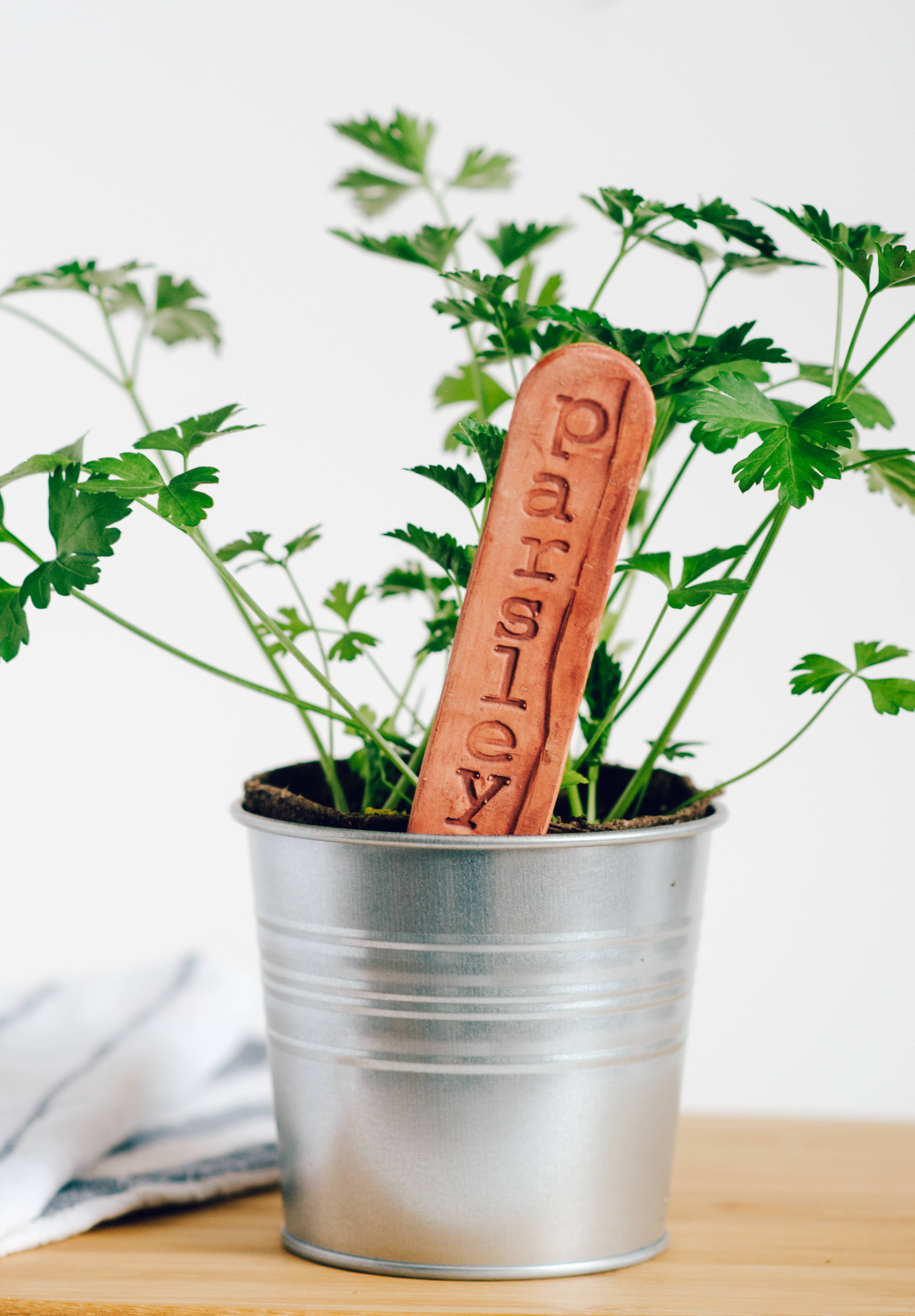 Mud & Maker – wholesale Garden/lawn stake – Garden Markers - VEGGIES Category7