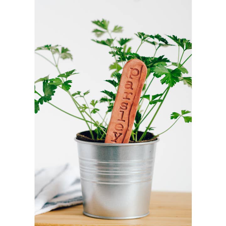 Mud & Maker - Wholesale Garden/lawn stake - Garden Markers - VEGGIES Category7