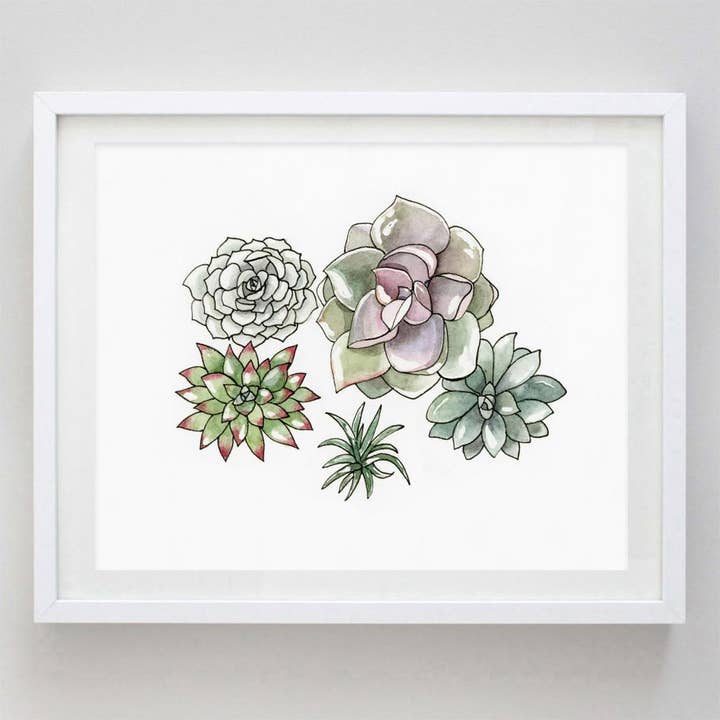Succulent # 2 Watercolor Print for wholesale by Carly Rae Studio