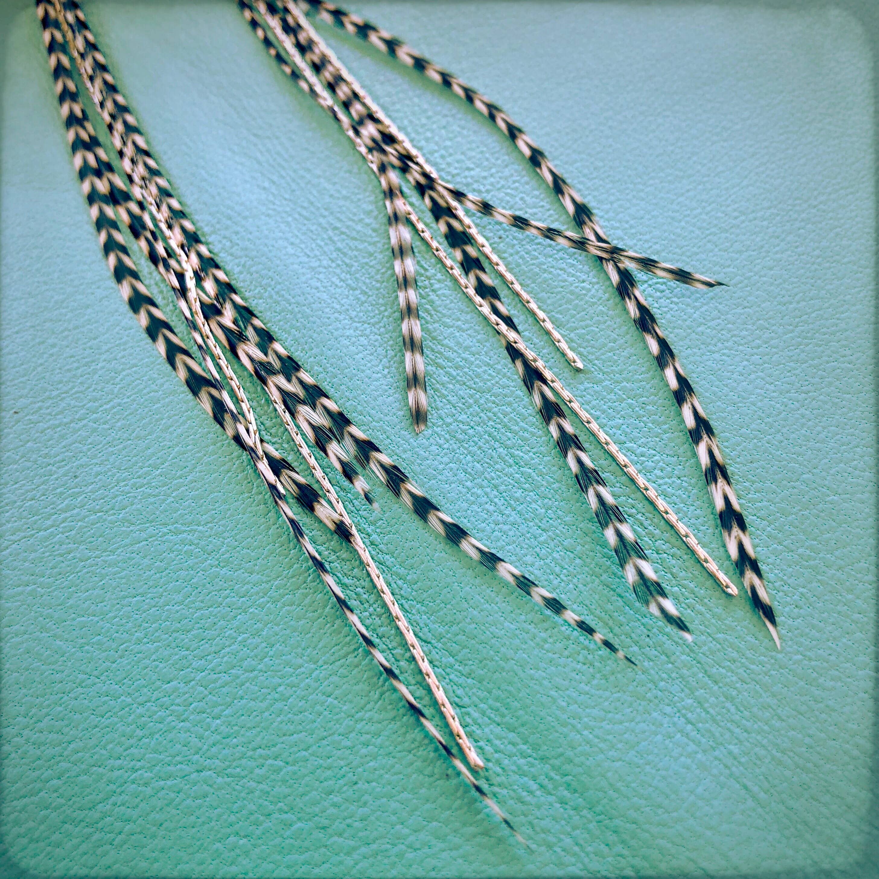 ASTALI - Vendita all'ingrosso Orecchini con nappe - Orecchini mini a piuma - Grizzly/argento, orecchini boho western3