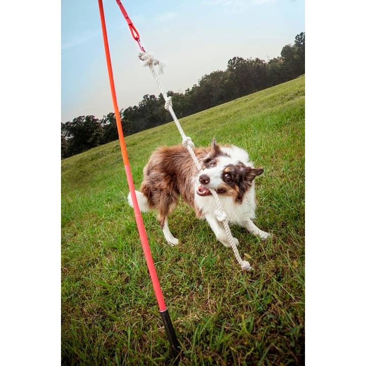 Tether Tug - Wholesale Pet Rope Toy - Dog - Big Outdoor Tether Tug