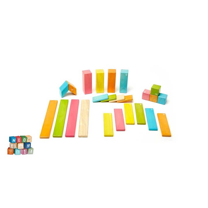 Tegu - Wholesale Building Set - Kids - 24 Piece Magnetic Wooden Block Set