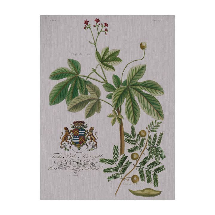 Vintage Flora botaniska tyg galleri väggkonst för wholesale av SPLASHWORKS