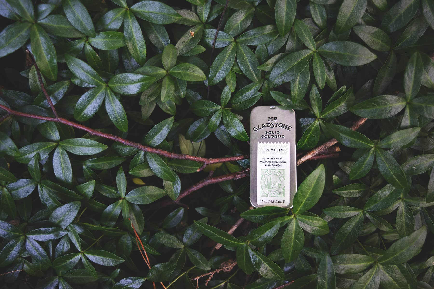 Mr Gladstone Solid Cologne - Wholesale Solid Cologne - Trevelin Fragrance1
