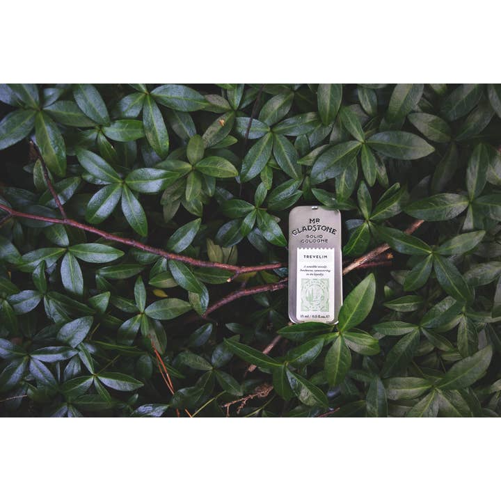 Mr Gladstone Solid Cologne - Wholesale Solid Cologne - Trevelin Fragrance1