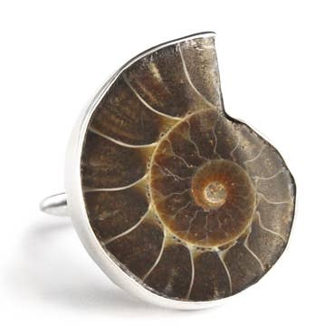 Ammonite Ring for wholesale by Great Falls Jewelry