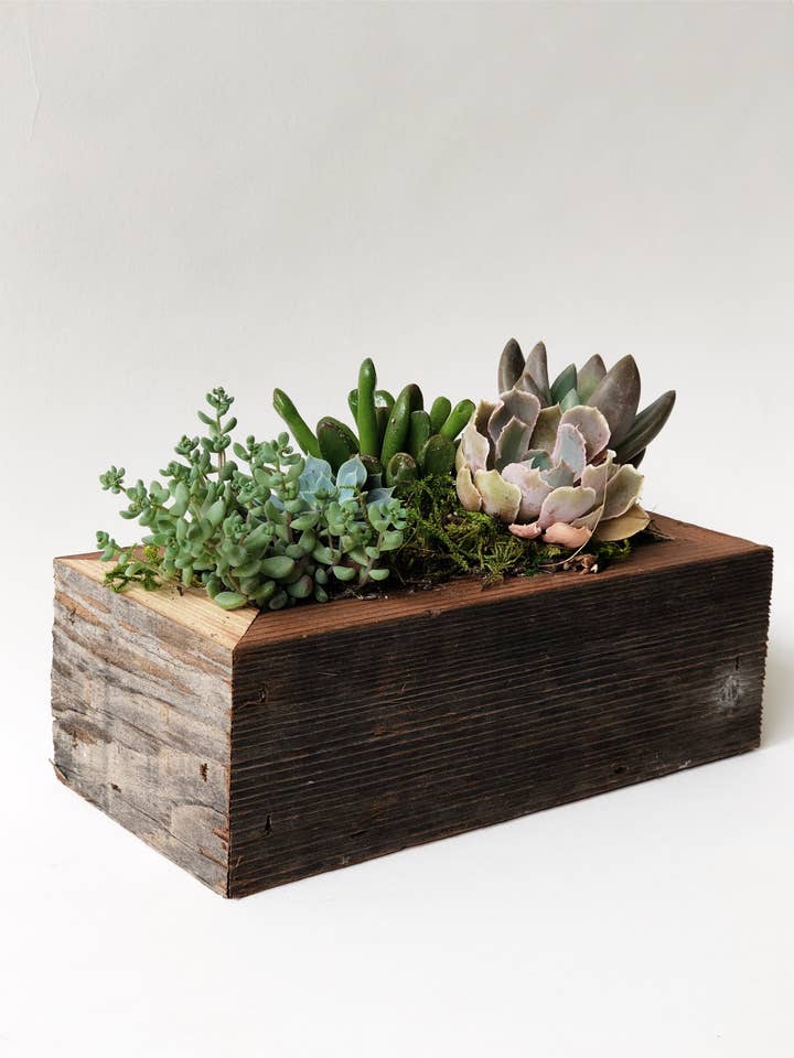 Gerecycled Houten Plantenbak 2x6 Threesie voor wholesale door Alibi Interiors