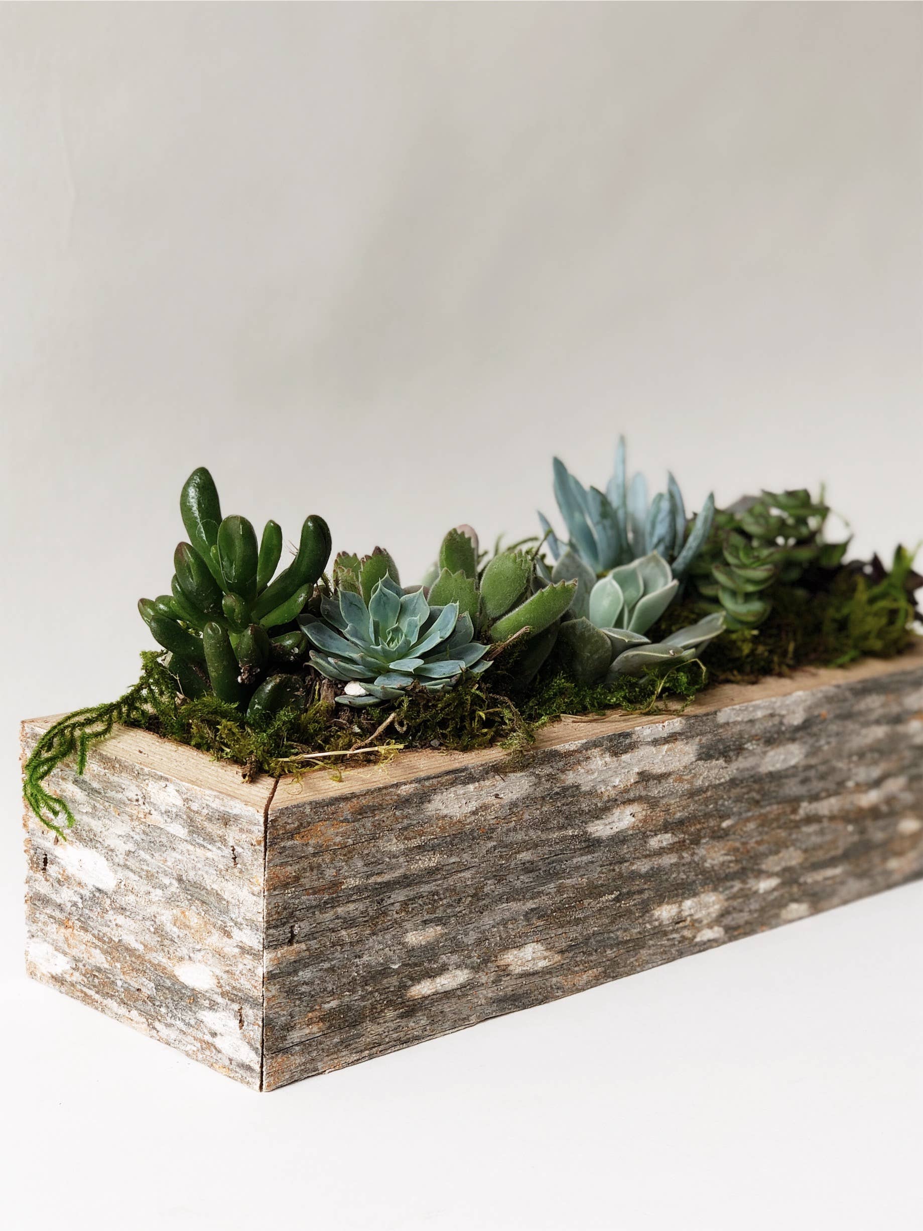 Alibi Interiors - Vendita all'ingrosso Fioriere - Fioriera in legno di recupero 2x10 Fivesie1