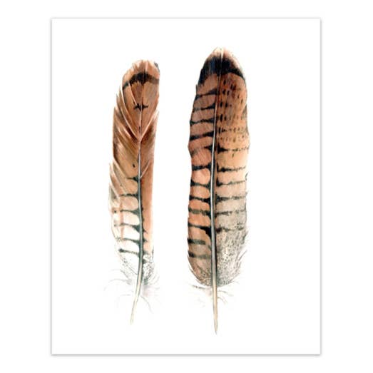 MFC Studio - Wholesale Art Print - Hawk Feathers0