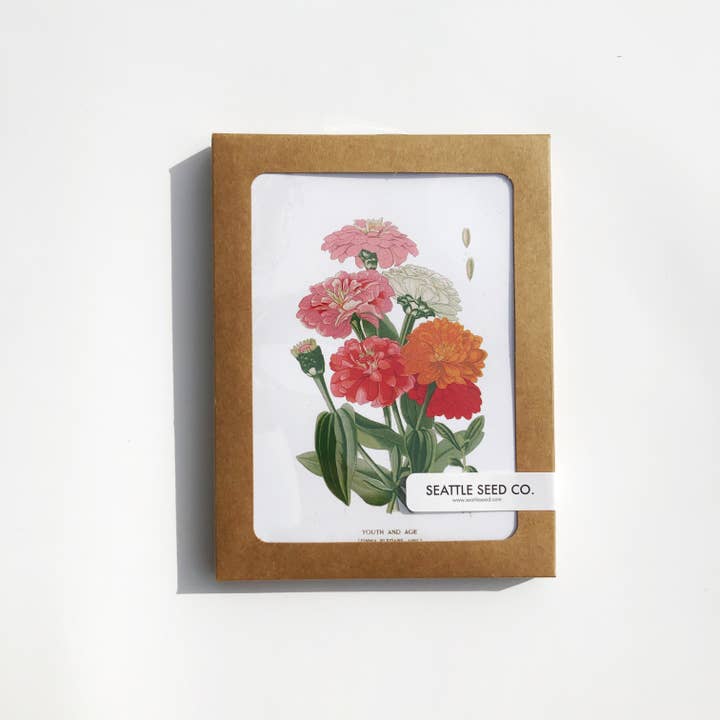 Seattle Seed Co. - Wholesale Everyday Greeting Card - Botanical Greeting Cards - Set of 4