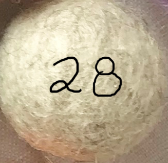 Little Lark - Wholesale Slingshot - Kids - Natural Wooden Slingshot, Unpainted wood with felt ammo27