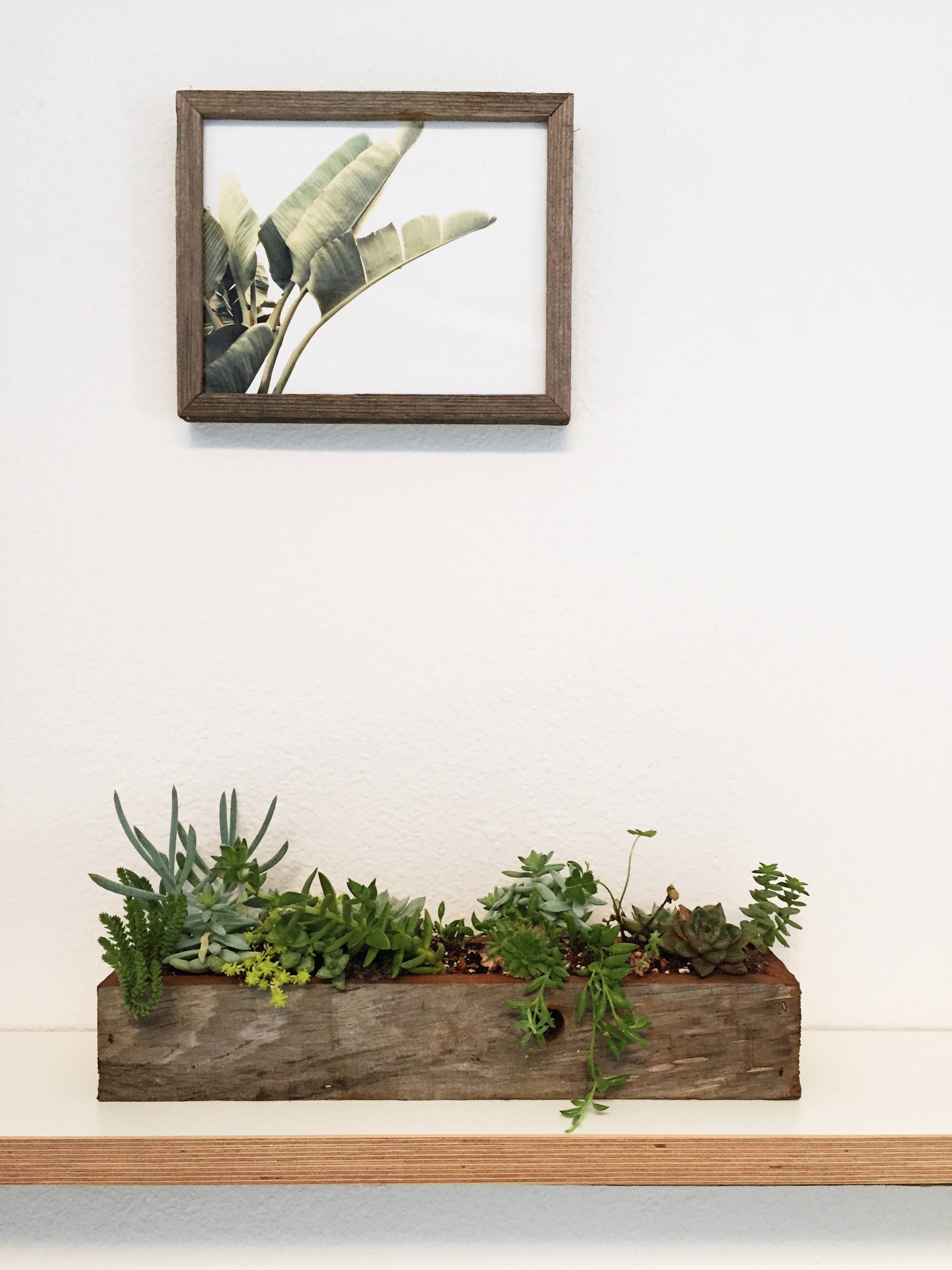 Alibi Interiors - Vendita all'ingrosso Fioriere - Fioriera in legno recuperato 2x14 Sevensie5