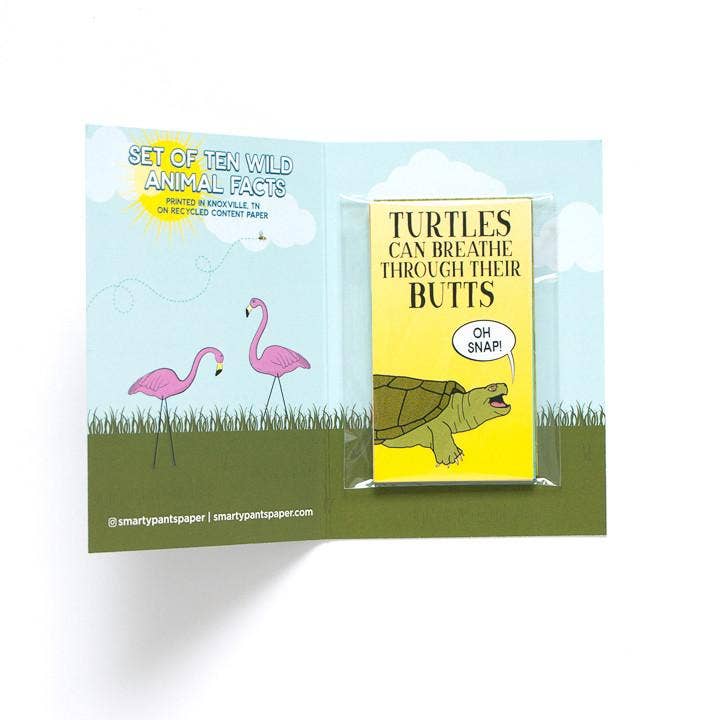 Smarty Pants Paper - Wholesale Stationery/Notecard Set - Wild Card Lunch Notes1