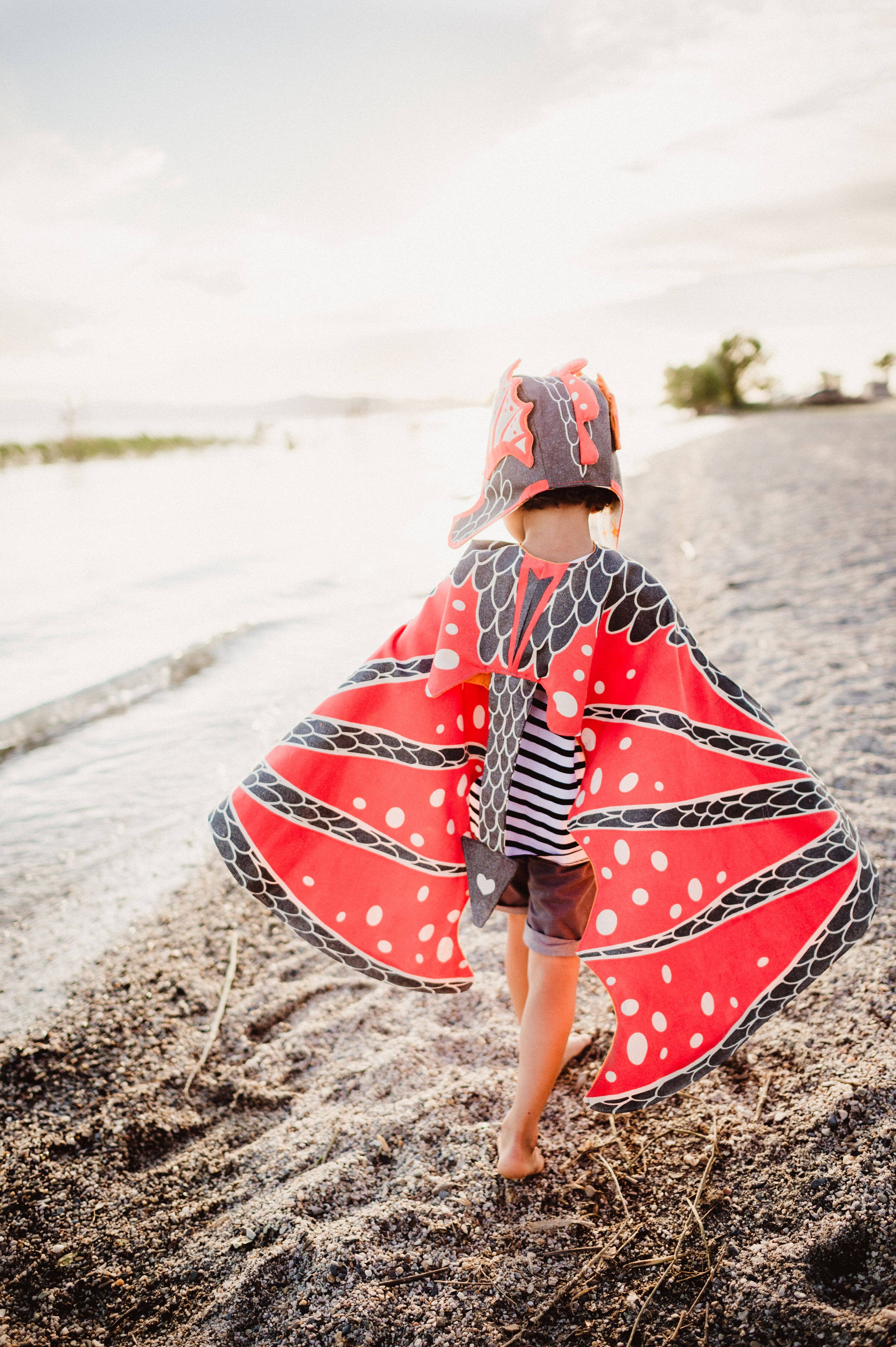 Lovelane Designs - Wholesale Costume - Kids - Lava Dragon Wings4