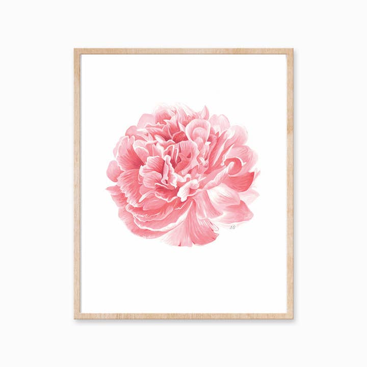 Pink Peony Art Print 8X10 for wholesale by Katelyn Morse Art