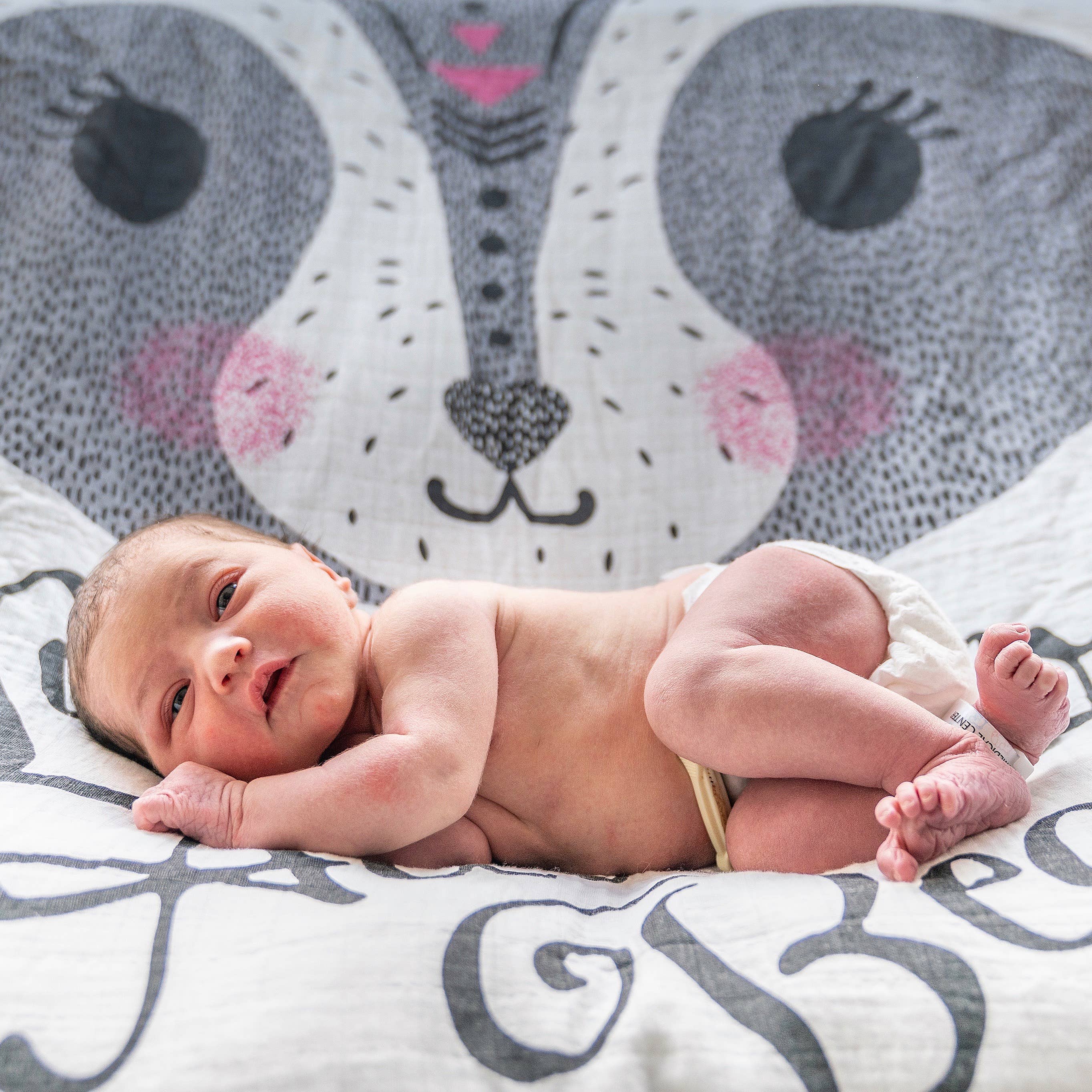 Lil Be - Wholesale Swaddle - Baby - Organic Swaddle Adventure Begin5