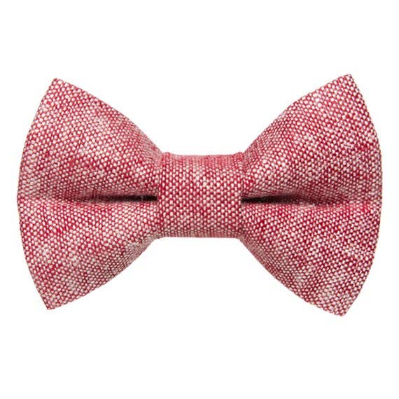 The Team Leader - Cat / Dog Bow Tie for wholesale by Sweet Pickles Designs