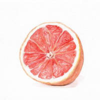 Rachel Alvarez Art - Wholesale Art Print - Grapefruit Art Print2