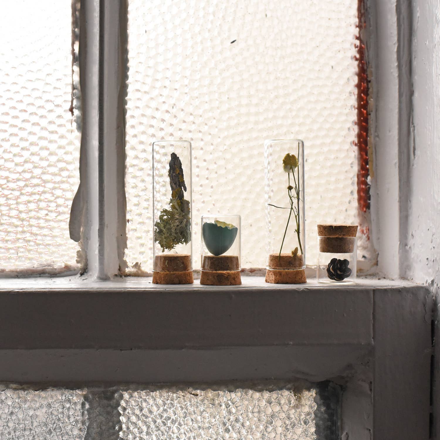 June & December - Vendita all'ingrosso Kit per lavoretti fai da te - Kit per la raccolta di campioni5