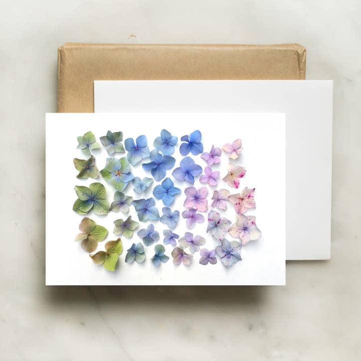 Card - Hydrangea Ombré for wholesale by Bottle Branch
