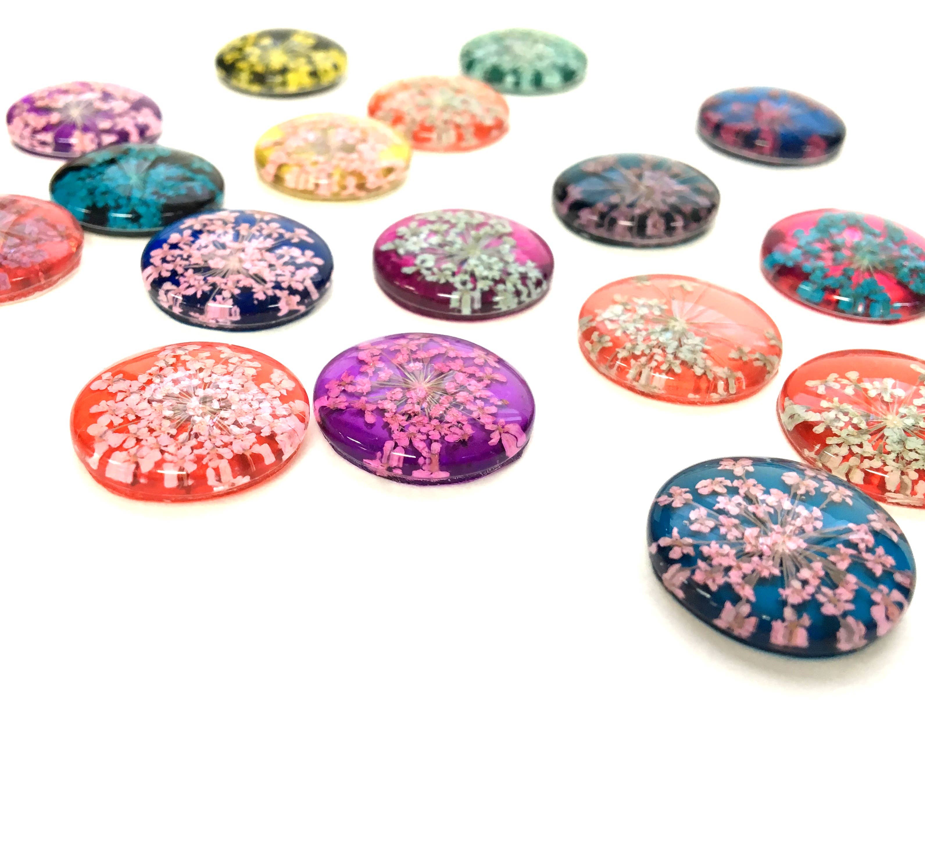Tanner Glass - Wholesale Magnet - Magnets:  Pressed Flowers Set of 43