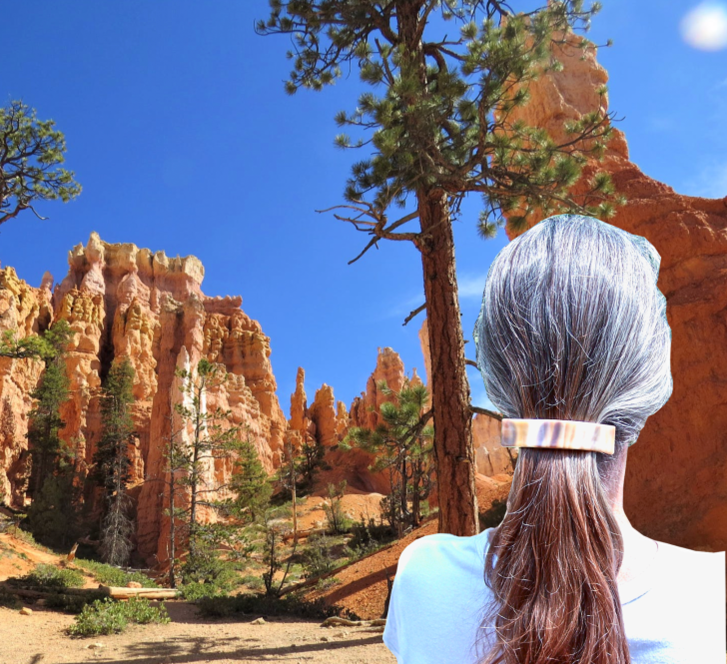 Glass Town USA - Wholesale Barrette - Women's - Barrettes Stained Glass Earth Color Large Size2