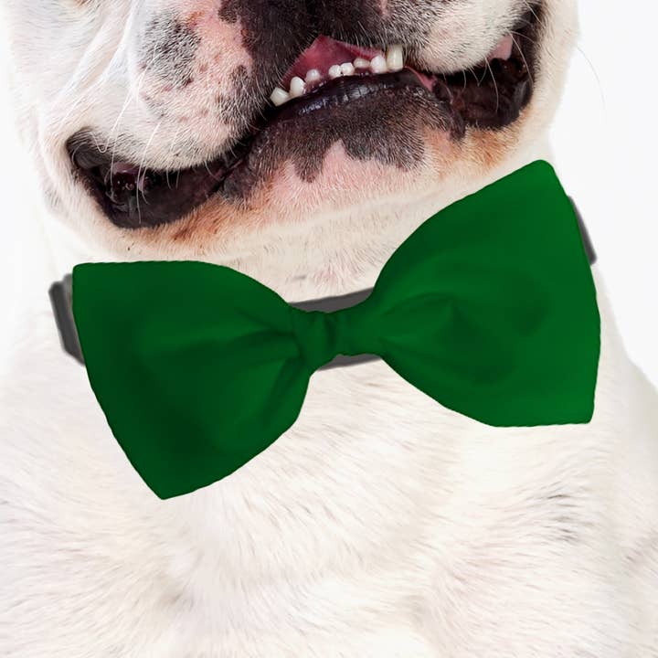 Dog Bow Tie Accessory in Kelly Green for wholesale by Sophisticated Pup