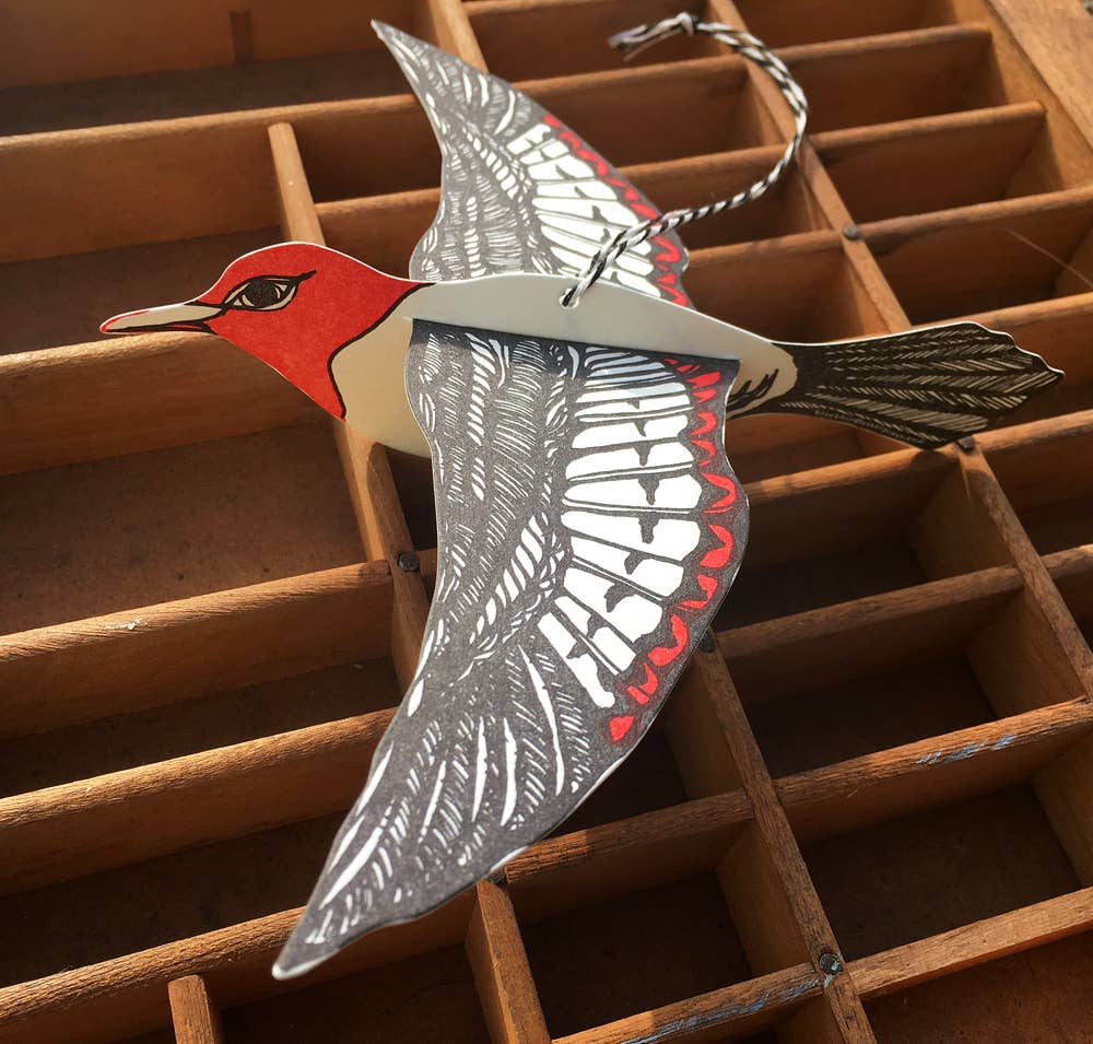 Blackbird Letterpress - Wholesale Everyday Greeting Card - woodpecker pop-out bird card3