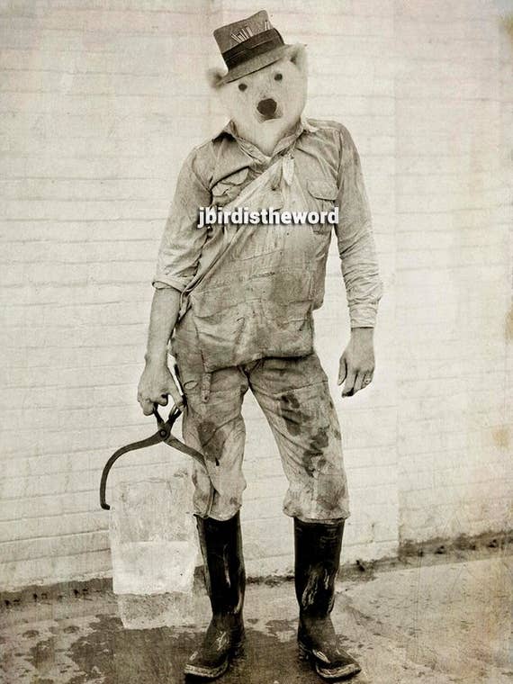 Motif d'ours polaire, inspiré par la nature et les animaux de l'Arctique pour la vente par The Wild Oddisorium