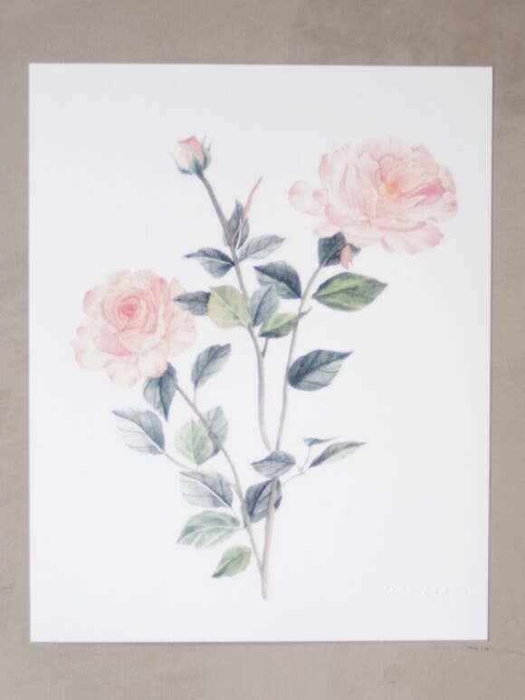 Rose Art Print for wholesale by Seniman Calligraphy