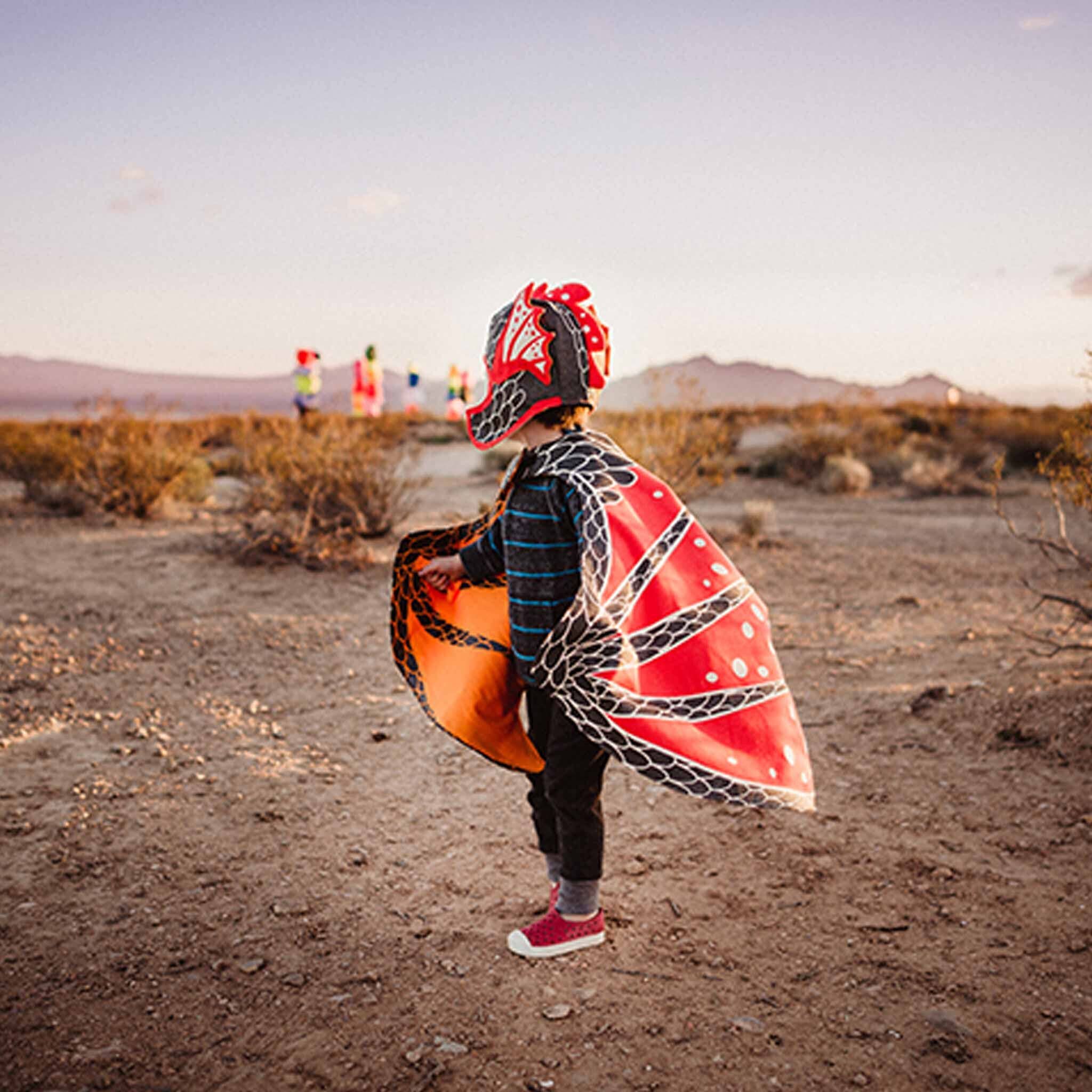 Lovelane Designs - Wholesale Costume - Kids - Lava Dragon Wings2