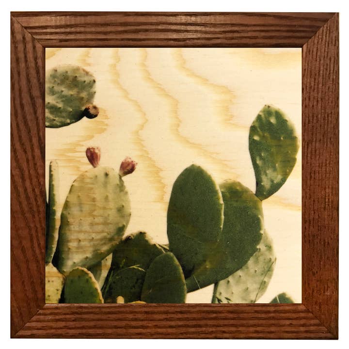 5x5 Prickly Pear Wood Print for wholesale by Lancaster Wood Prints