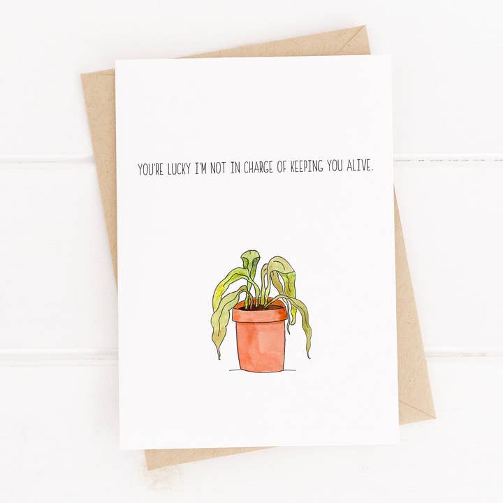 Dead Plant for wholesale by Party Napkins Co.