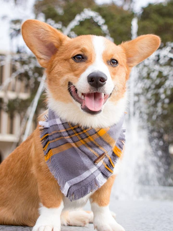 Medium Tie - on Flannel Bandanas for wholesale by Playful Fox & Co.