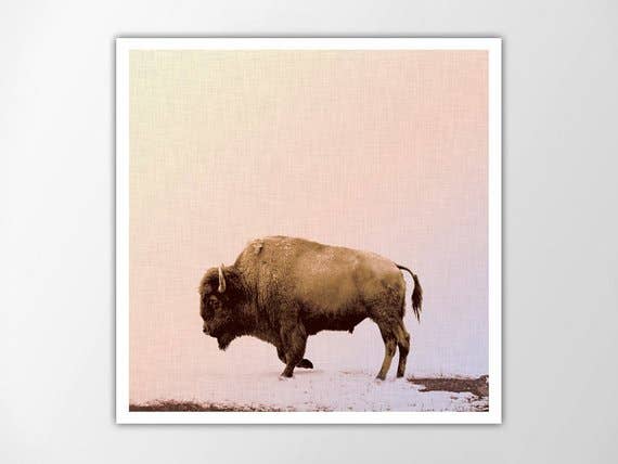 The National Anthem - Wholesale Art Print - 12”x 12” Buffalo Art Print1