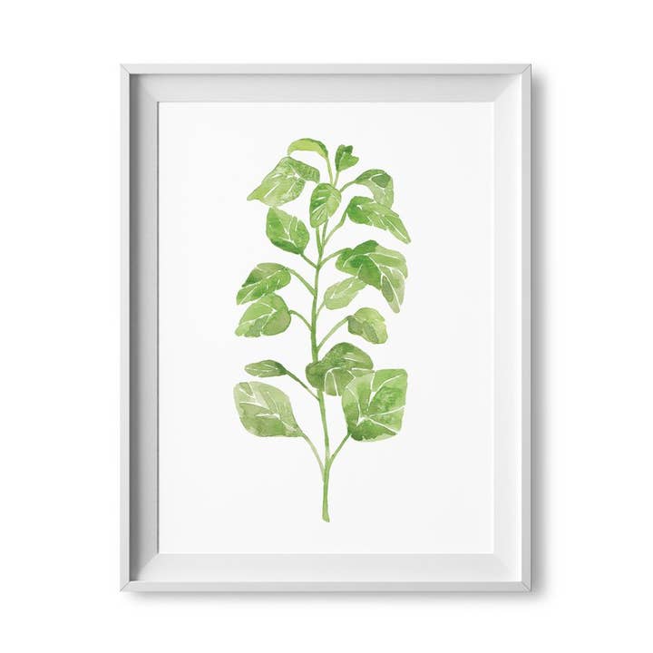 8 po x 10 po Origan Aquarelle pour la vente par Lilac Paperie