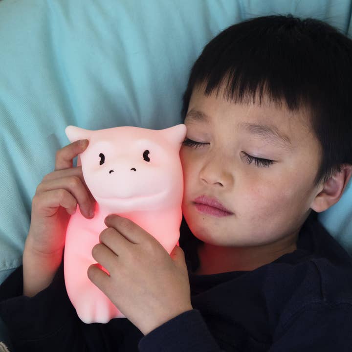 Lumieworld - Wholesale Night Light - Kids & Baby - Lumipets® LED Dragon Night Light