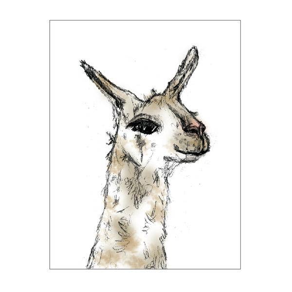 Megan Lee Designs - Wholesale Stationery/Notecard Set - Llama Notecard0