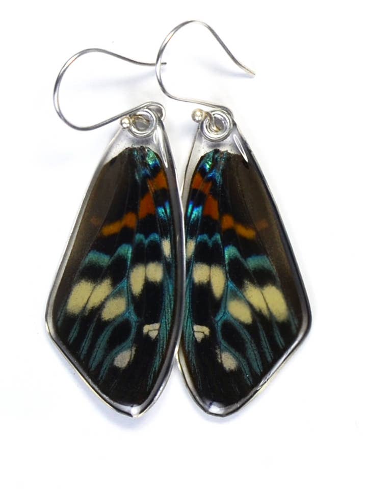 0460 Butterfly Earrings, Day Flying Moth, Top Wing for wholesale by Wingstitution