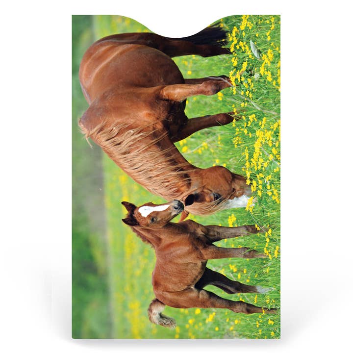 Monarque – Großhandel Kartenetui – Unisex – 6er-Set Kreditkartenhülle für Pferde2