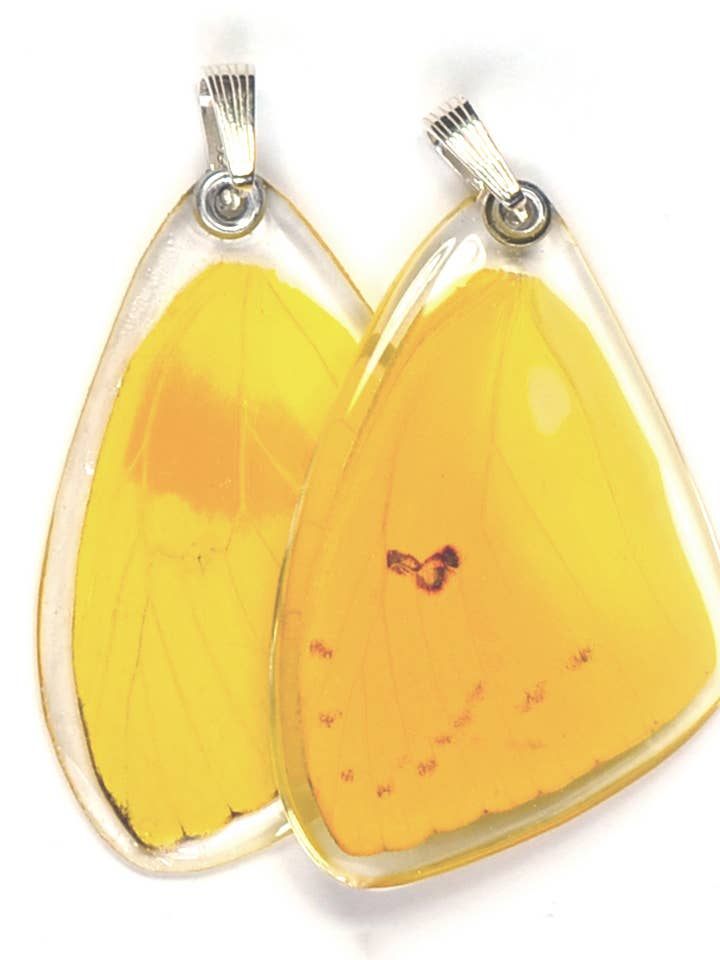 0070 Butterfly Pendant ONLY, Orange-barred Sulphur, top wing for wholesale by Wingstitution