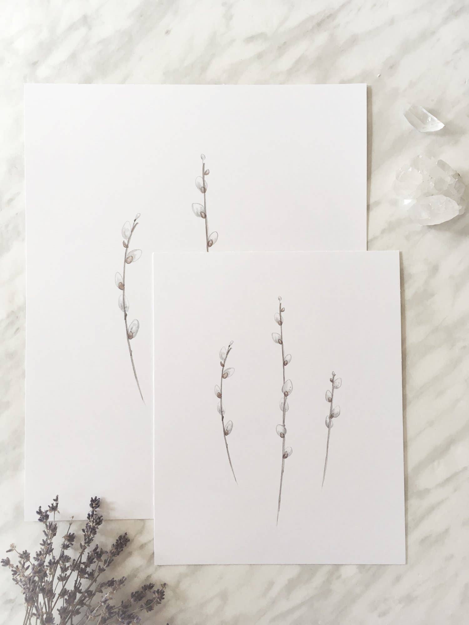 Katelyn Morse Art - Wholesale Art Print - Pussy Willows Art Print 11X142