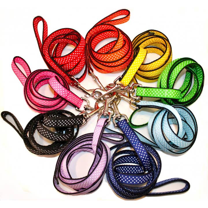 Collection Laisse et collier arc-en-ciel pour la vente par Sophisticated Pup