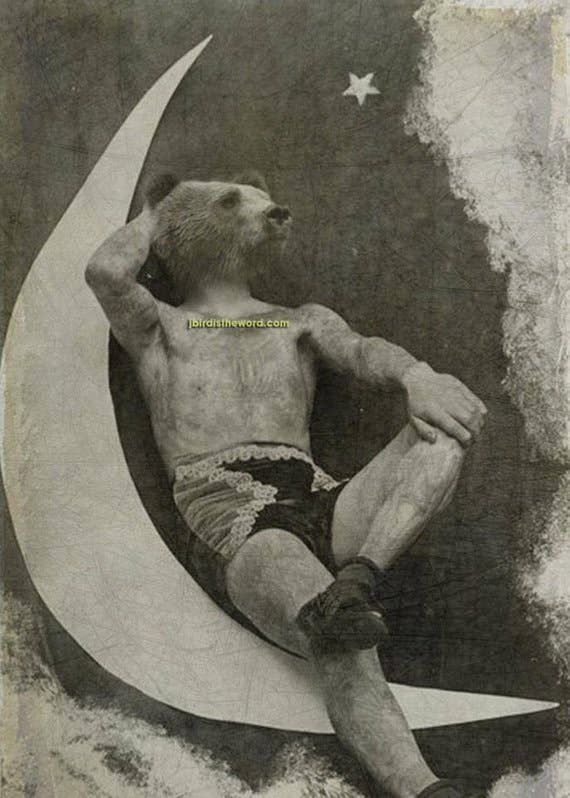 The Wild Oddisorium - Wholesale Art Print - Moon Bear Print, Gay Pride, LGBT, Bathroom Art0