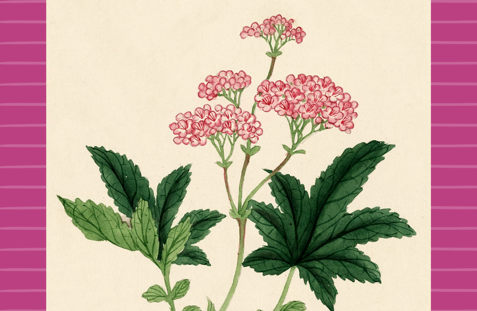 The Bedford Life - Wholesale Disposable Placemat - Paper Placemats : "Bouquet" 3 designs (8 of each)3