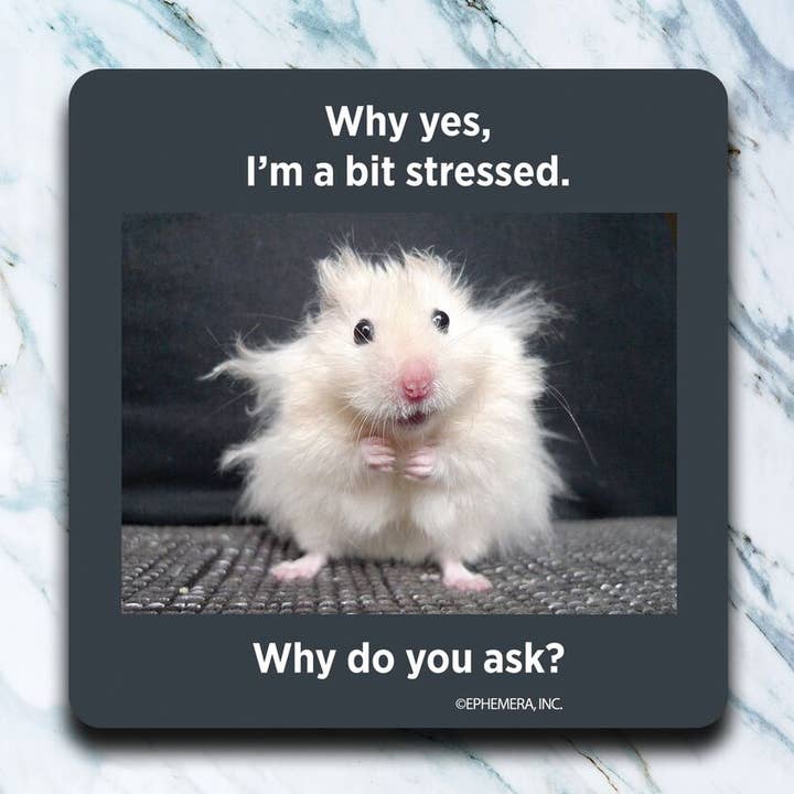 A Bit Stressed Coaster for wholesale by High Cotton Gifts